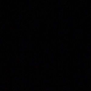 Meet your Posher, Twin